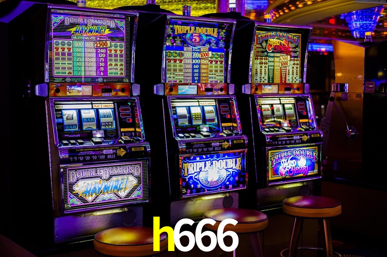 Experiência VIP h666