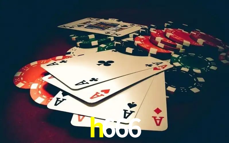 h666 bet